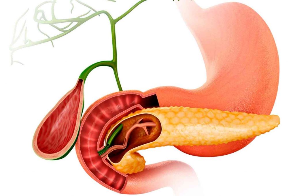 Que es el pancreas